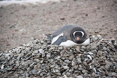 《名利场：我被好莱坞美女潜规则了》首周上线口碑火爆，首发活动赢千元好礼！