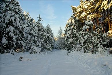 《和阶堂真的案件薄》上架steam 日风推理解谜