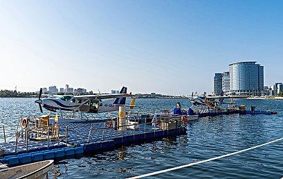 《全面战争》25周年：今年12月将公布重磅新作