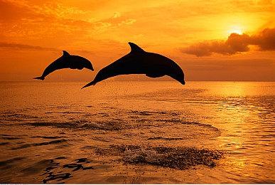 《无限暖暖》GI实机公布 第三季度PS5测试