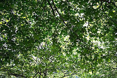 《火箭联盟》将升级至UE5 但短期内不会上线